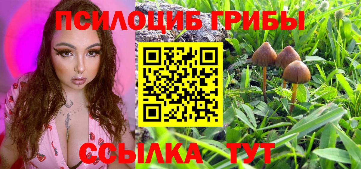 ГАШИШ Новоалтайск