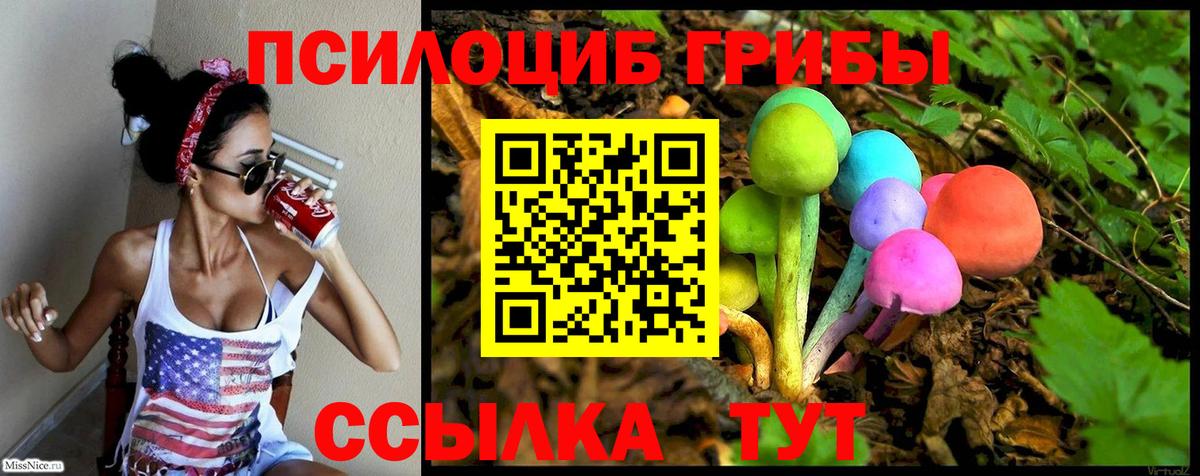 Псилоцибиновые грибы MAGIC MUSHROOMS Новоалтайск