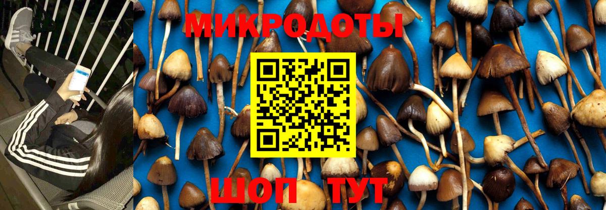 Галлюциногенные грибы мицелий  Вход с VPN  Псилоцибиновые грибы мухоморы  Новоалтайск 